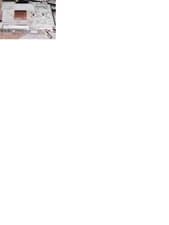 CONTACTOR ALLEN BRADLEY 100-C12D*10A