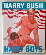 Hard Boys by Harry Bush LGBQ Great Condition