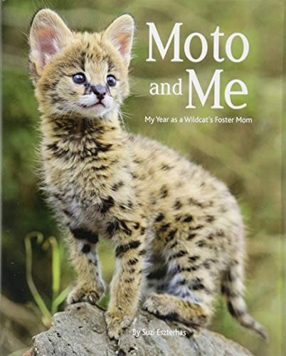 MOTO AND ME: MY YEAR AS A WILDCAT'S FOSTER MOM By Suzi Eszterhas - Hardcover NEW