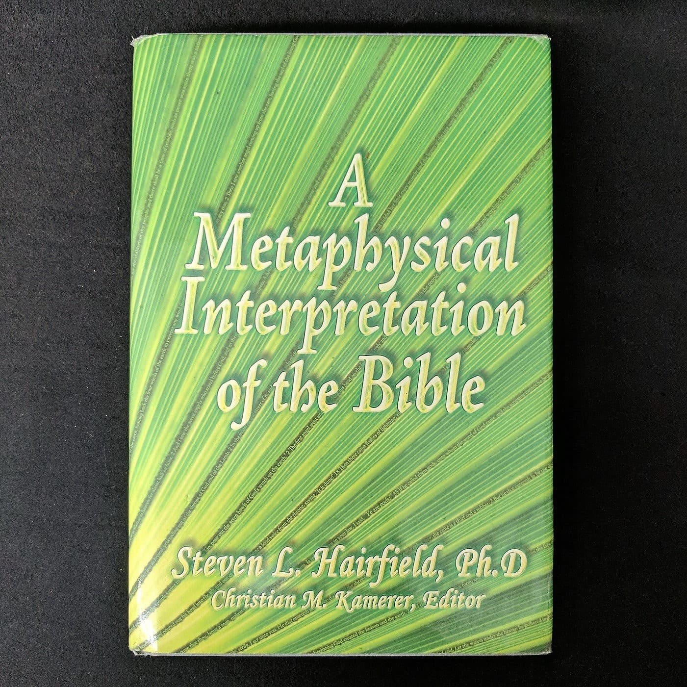 A Metaphysical Interpretation of the Bible - hardcover Hairfield, Steven L.|...